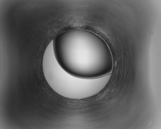 X0000090751348200707201024
