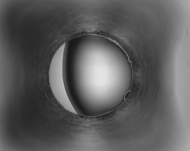 X0000090751349200707201024