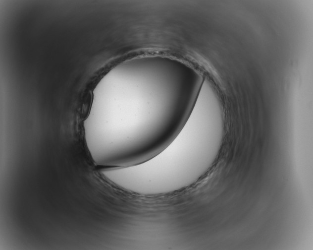 X0000090751352200707201024
