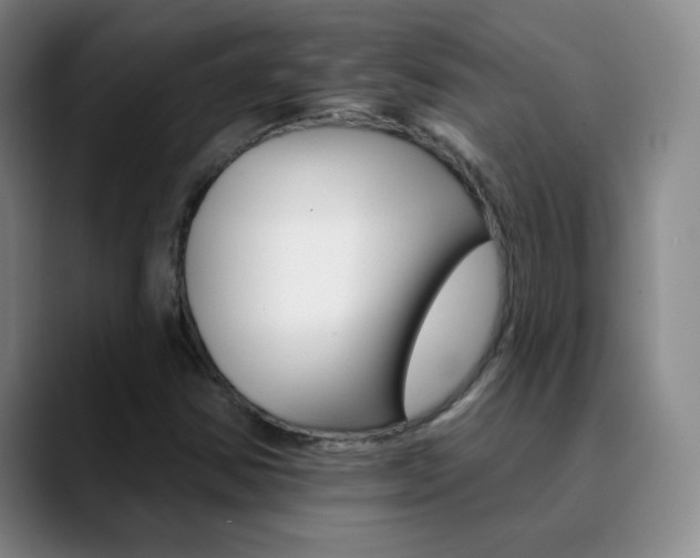 X0000090751354200707201024