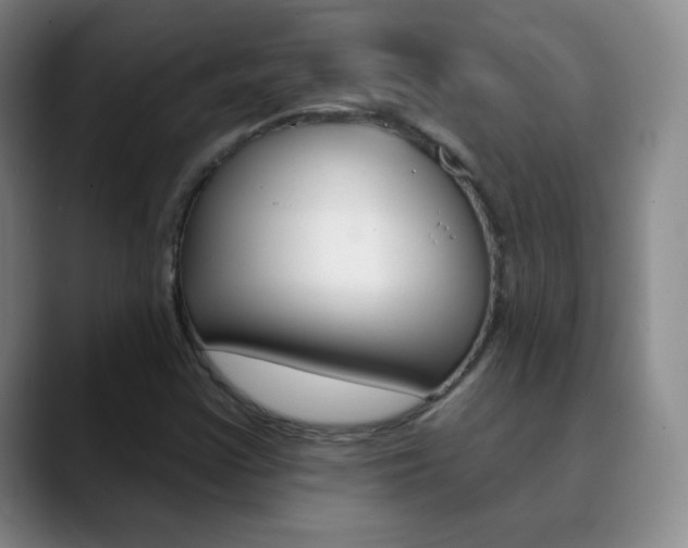 X0000090751355200707201024
