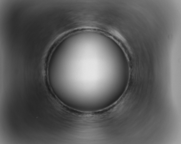 X0000090751360200707201024