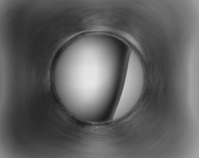 X0000090751364200707201024