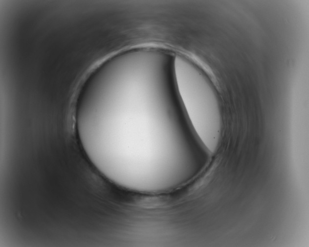 X0000090751367200707201024