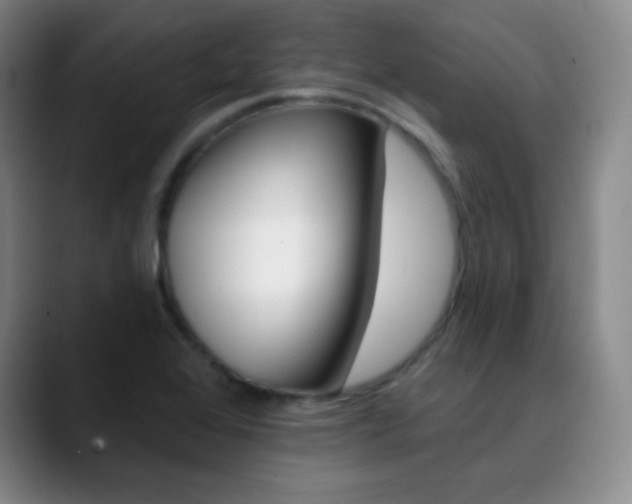 X0000090751368200707201024