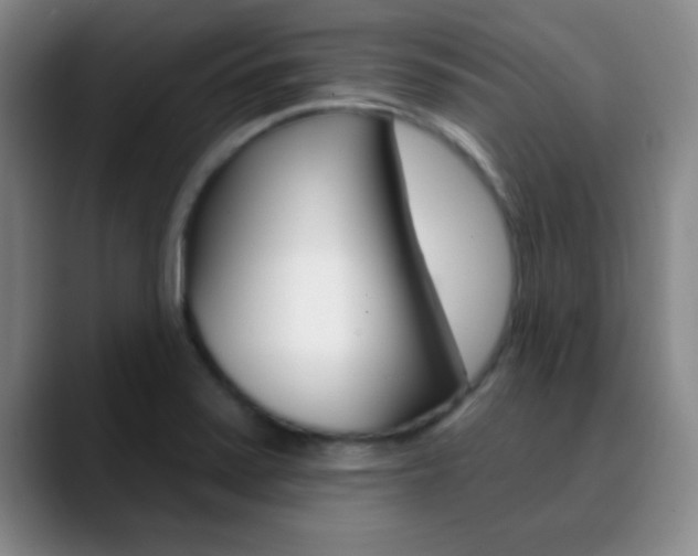 X0000090751371200707201024