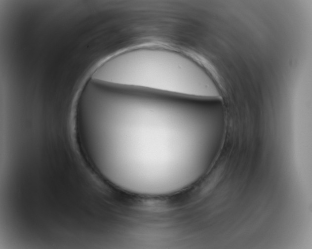 X0000090751375200707201024