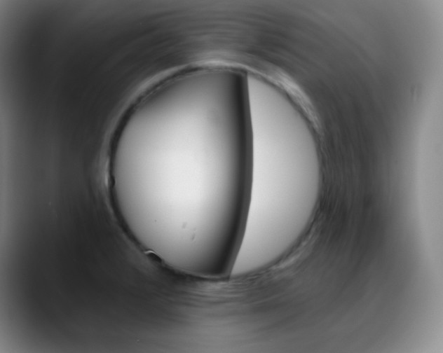 X0000090751376200707201023