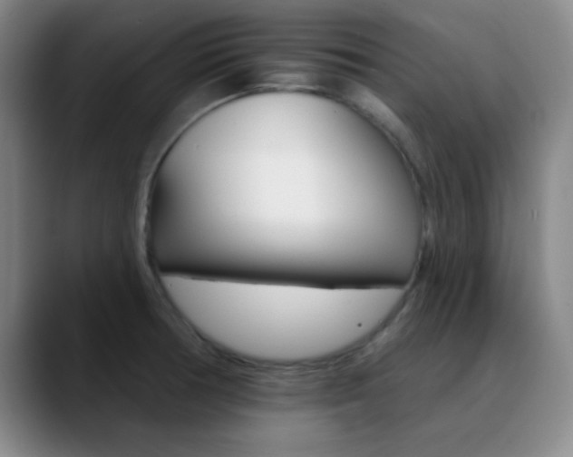 X0000090751378200707201023