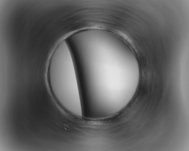 X0000090751379200707201023