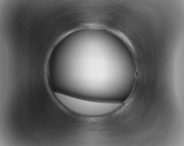 X0000090751381200707201023