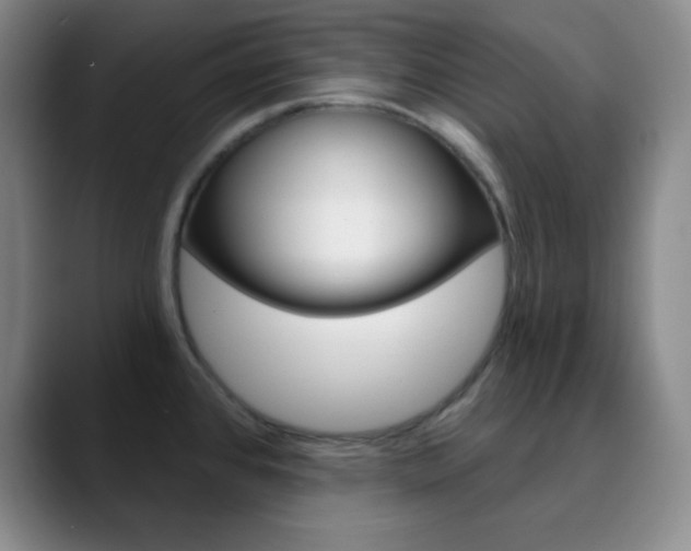 X0000090751384200707201023