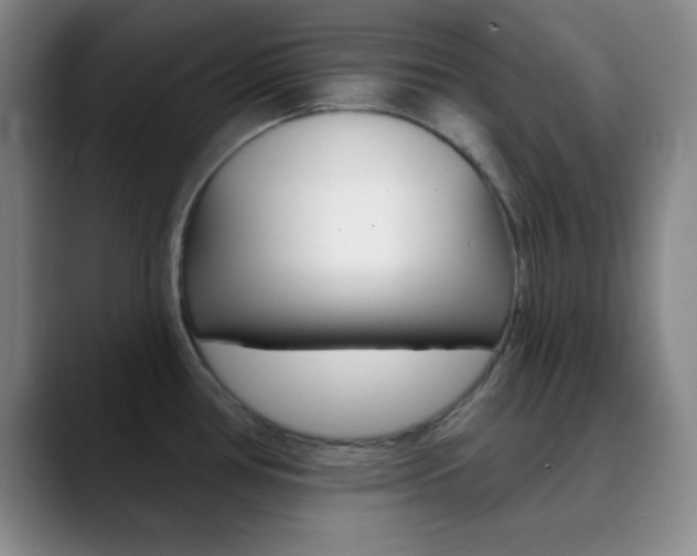 X0000090751386200707201023