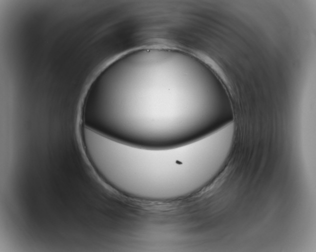X0000090751387200707201023