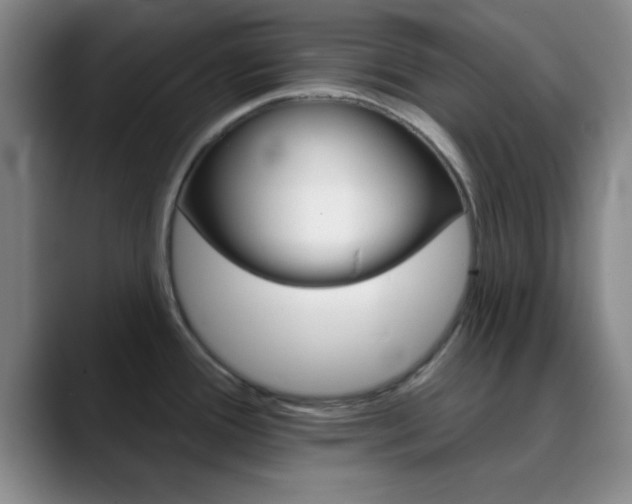 X0000090751388200707201023