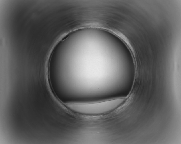 X0000090751389200707201023