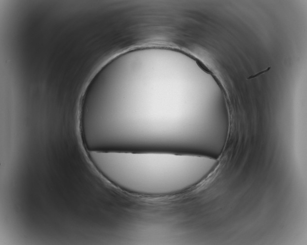 X0000090751390200707201023