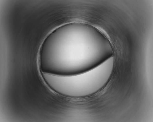 X0000090751391200707201023