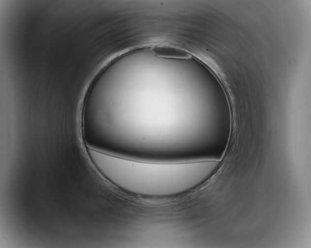 X0000090751392200707201023
