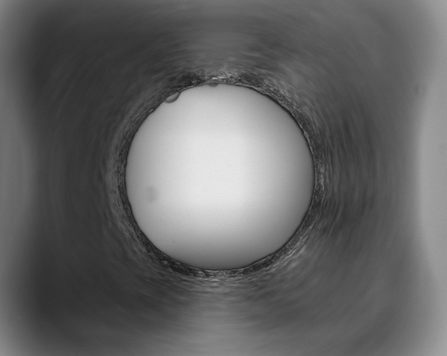 X0000090751393200707201023