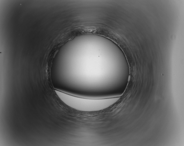 X0000090751394200707201023