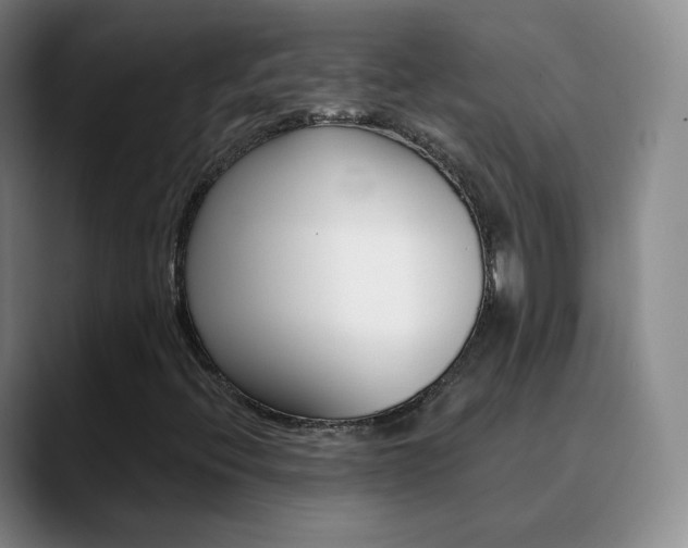 X0000090751396200707201023