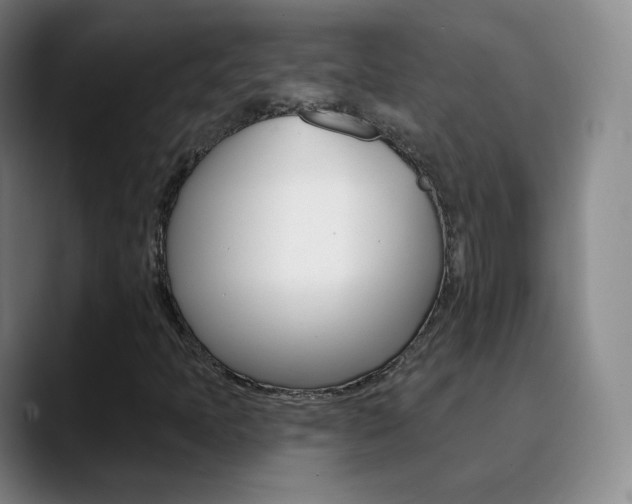 X0000090751397200707201023