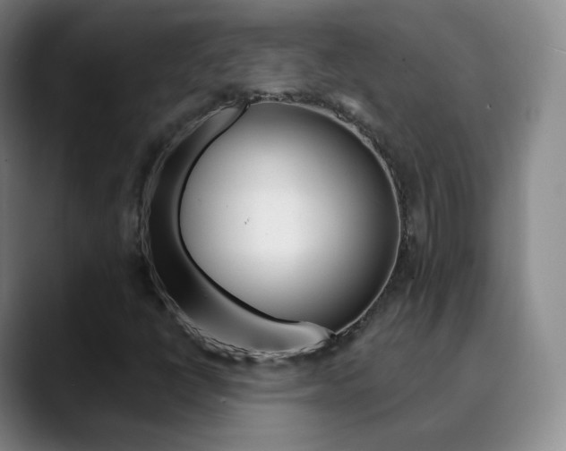 X0000090751398200707201023
