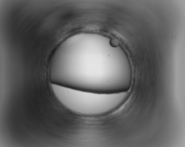 X0000090751401200707201023