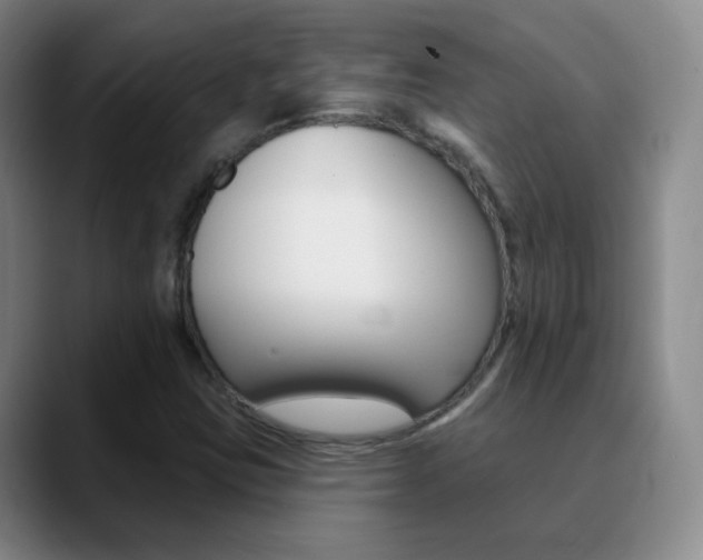 X0000090751403200707201023