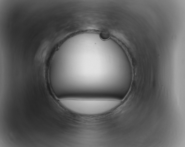 X0000090751404200707201023