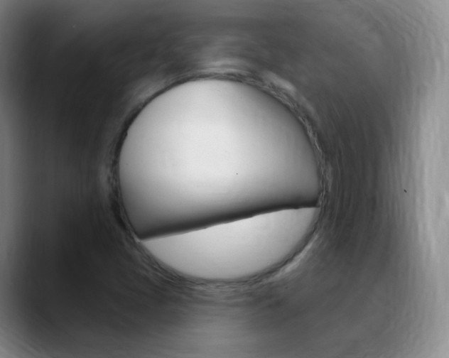 X0000090751405200707201023