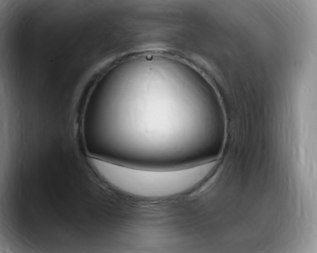 X0000090751406200707201023