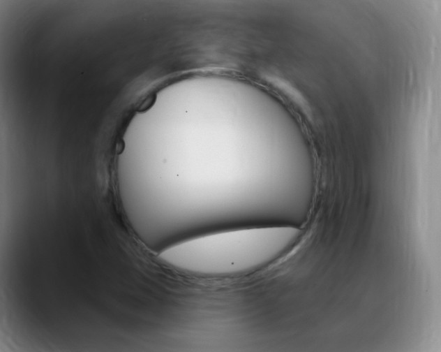 X0000090751407200707201023