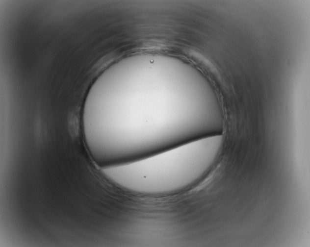 X0000090751409200707201023