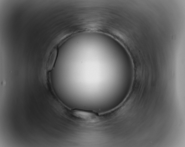 X0000090751410200707201023