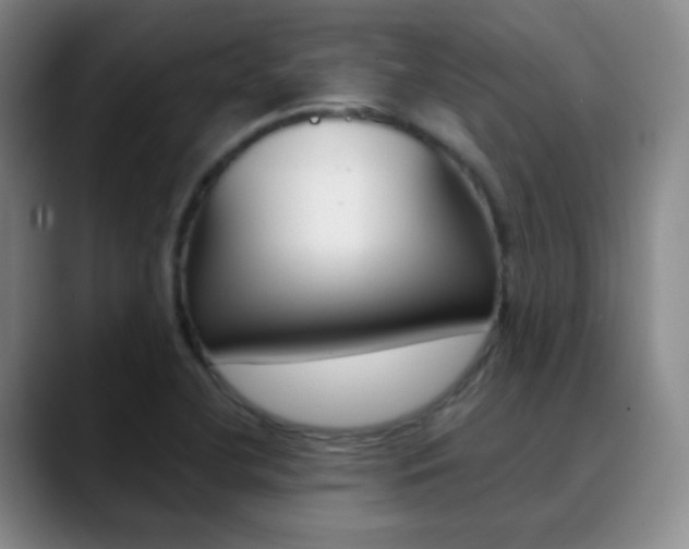 X0000090751412200707201023