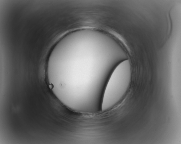 X0000090751415200707201023