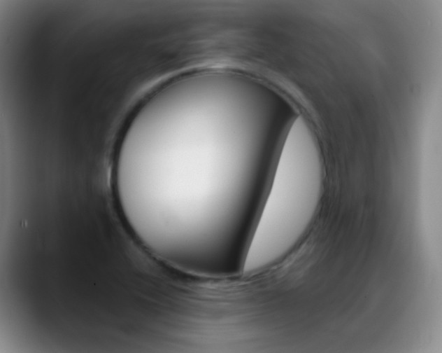 X0000090751416200707201023