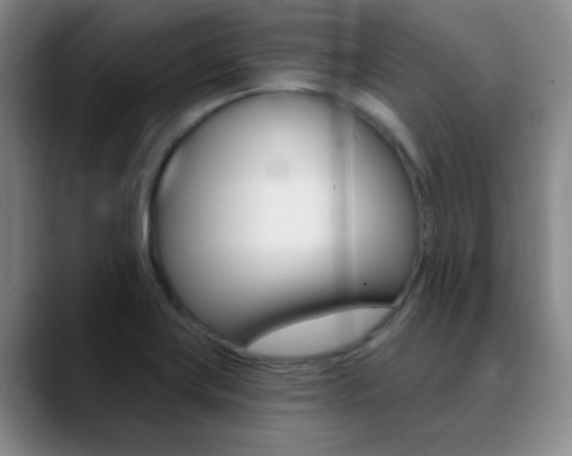 X0000090751419200707201023