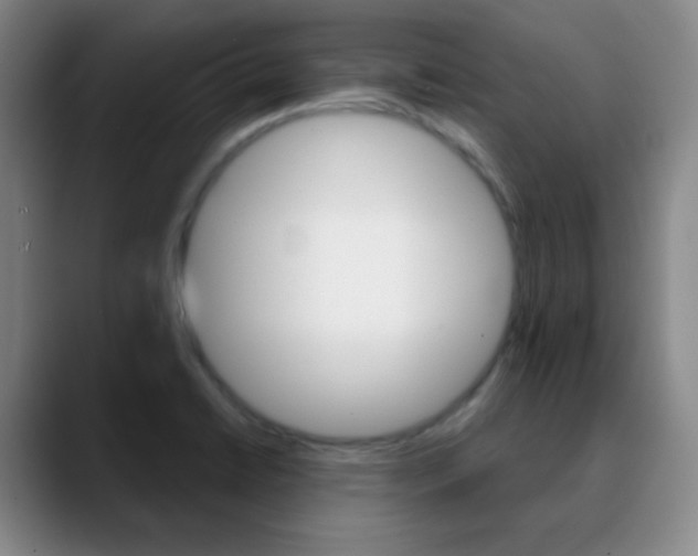 X0000090751422200707201023