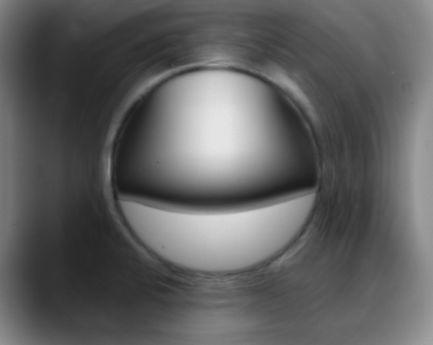 X0000090751424200707201023