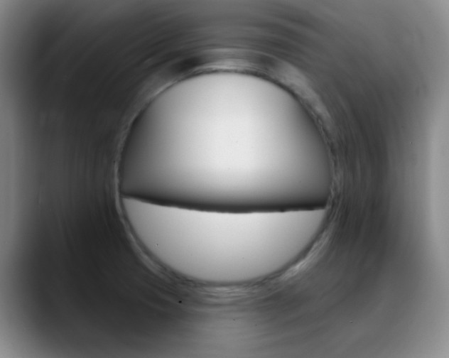 X0000090751425200707201023