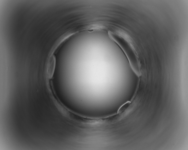 X0000090751426200707201023