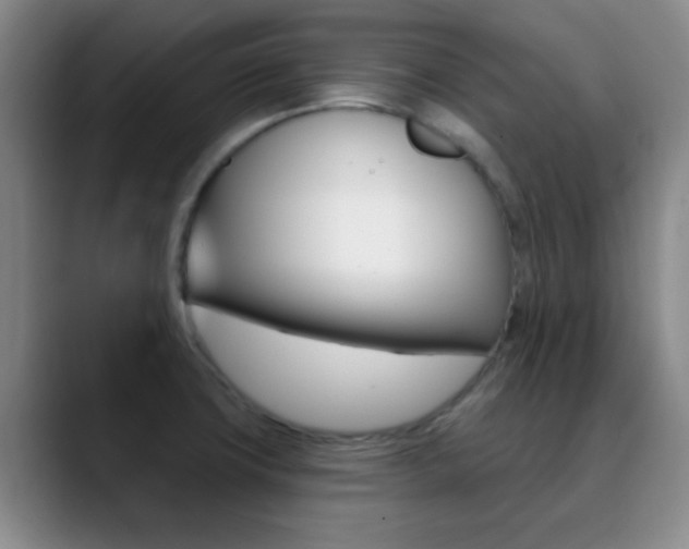 X0000090751427200707201023