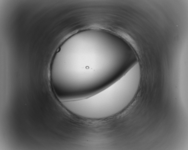 X0000090751428200707201023