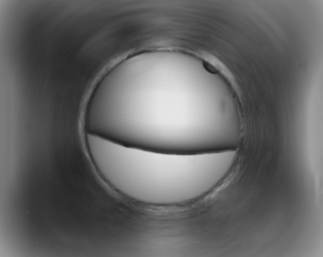 X0000090751429200707201023