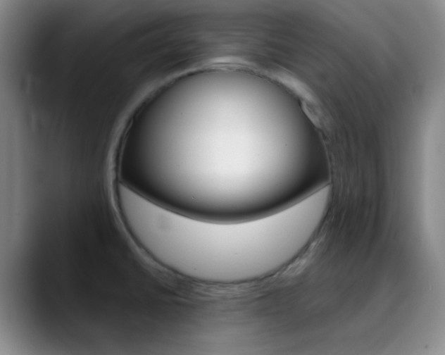 X0000090751430200707201023