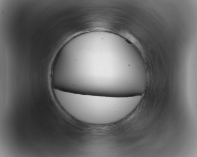 X0000090751431200707201023