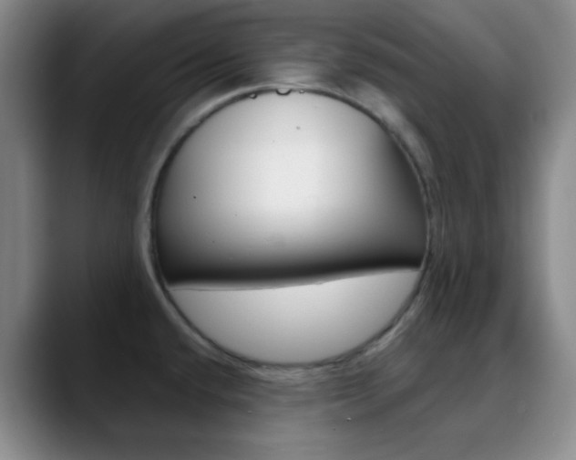 X0000090751432200707201023